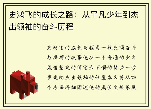 史鸿飞的成长之路：从平凡少年到杰出领袖的奋斗历程